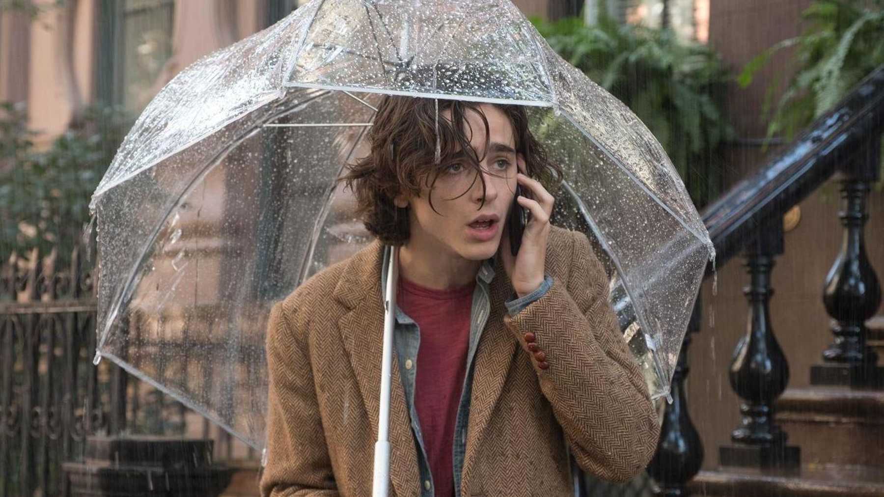 a rainy day in new york film wiki